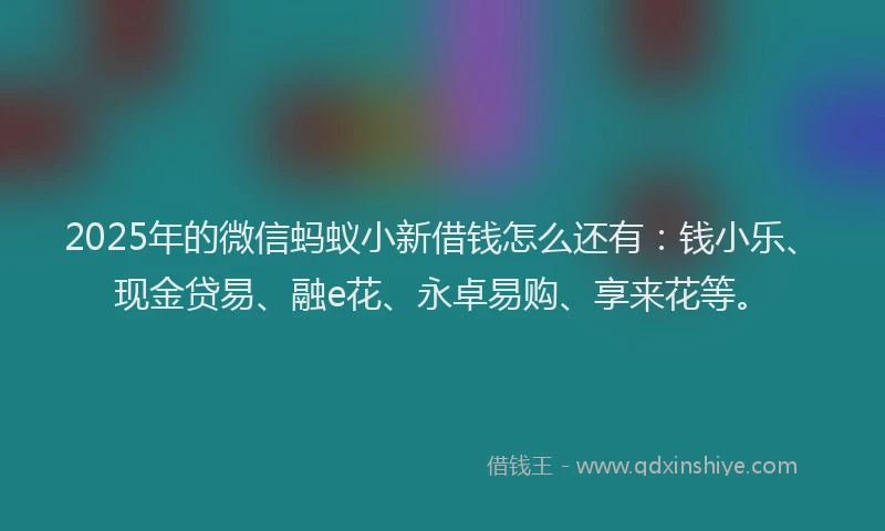 2025年的微信蚂蚁小新借钱怎么还有：钱小乐、现金贷易、融e花、永卓易购、享来花等。