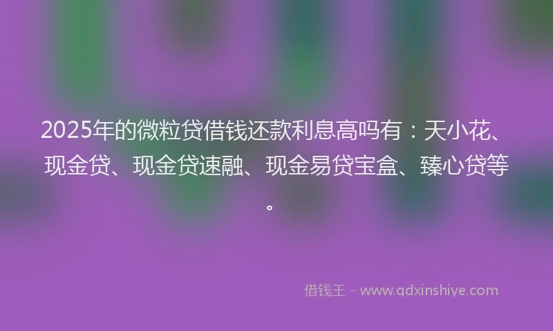 2025年的微粒贷借钱还款利息高吗有：天小花、现金贷、现金贷速融、现金易贷宝盒、臻心贷等。