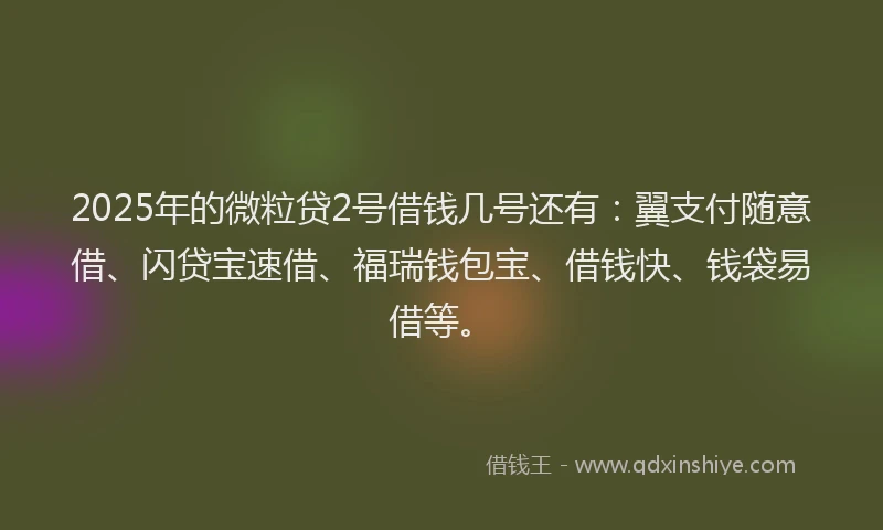 2025年的微粒贷2号借钱几号还有：翼支付随意借、闪贷宝速借、福瑞钱包宝、借钱快、钱袋易借等。