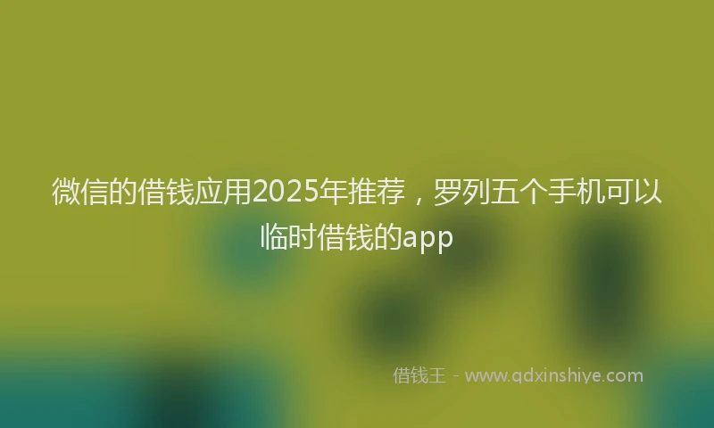 微信的借钱应用2025年推荐，罗列五个手机可以临时借钱的app