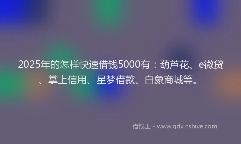 2025年的怎样快速借钱5000有：葫芦花、e微贷、掌上信用、星梦借款、白象商城等。