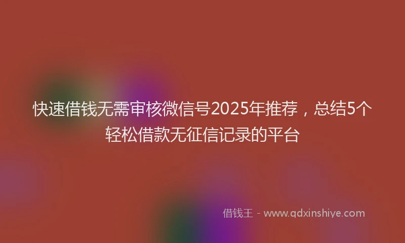 快速借钱无需审核微信号2025年推荐，总结5个轻松借款无征信记录的平台