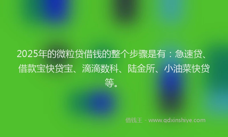 2025年的微粒贷借钱的整个步骤是有：急速贷、借款宝快贷宝、滴滴数科、陆金所、小油菜快贷等。