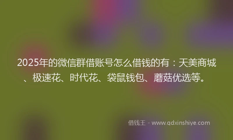 2025年的微信群借账号怎么借钱的有：天美商城、极速花、时代花、袋鼠钱包、蘑菇优选等。