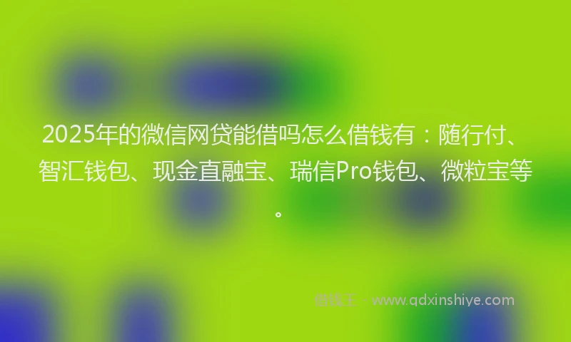 2025年的微信网贷能借吗怎么借钱有：随行付、智汇钱包、现金直融宝、瑞信Pro钱包、微粒宝等。