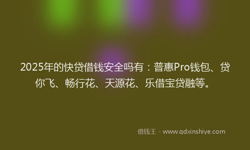 2025年的快贷借钱安全吗有：普惠Pro钱包、贷你飞、畅行花、天源花、乐借宝贷融等。
