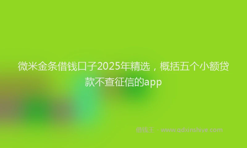 微米金条借钱口子2025年精选，概括五个小额贷款不查征信的app
