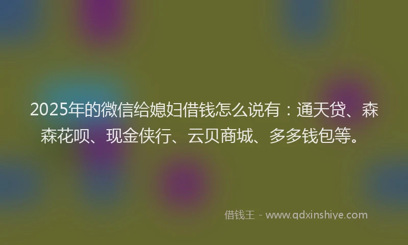 2025年的微信给媳妇借钱怎么说有：通天贷、森森花呗、现金侠行、云贝商城、多多钱包等。