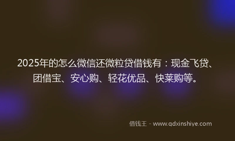 2025年的怎么微信还微粒贷借钱有：现金飞贷、团借宝、安心购、轻花优品、快莱购等。