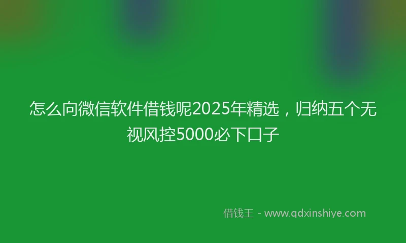 怎么向微信软件借钱呢2025年精选，归纳五个无视风控5000必下口子