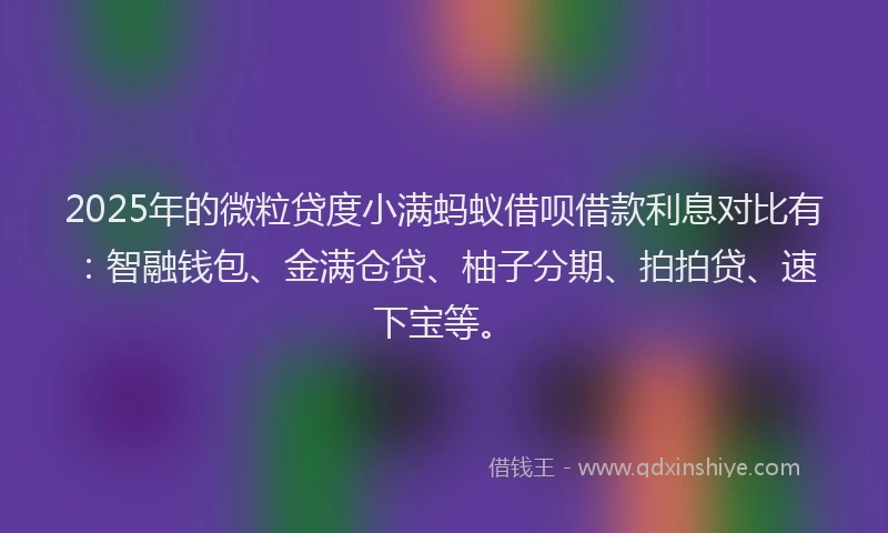 2025年的微粒贷度小满蚂蚁借呗借款利息对比有：智融钱包、金满仓贷、柚子分期、拍拍贷、速下宝等。