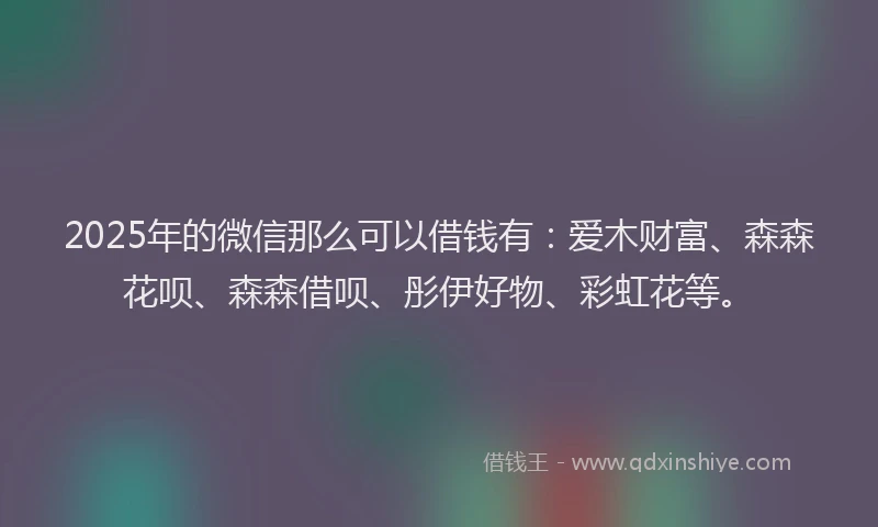 2025年的微信那么可以借钱有：爱木财富、森森花呗、森森借呗、彤伊好物、彩虹花等。