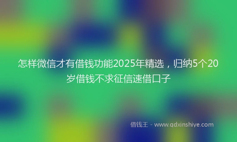 怎样微信才有借钱功能2025年精选，归纳5个20岁借钱不求征信速借口子