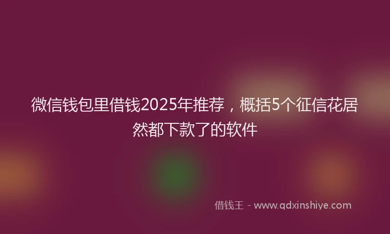微信钱包里借钱2025年推荐，概括5个征信花居然都下款了的软件