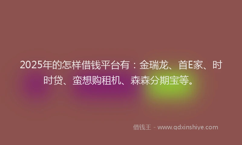2025年的怎样借钱平台有：金瑞龙、首E家、时时贷、蛮想购租机、森森分期宝等。