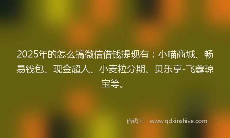2025年的怎么搞微信借钱提现有：小喵商城、畅易钱包、现金超人、小麦粒分期、贝乐享-飞鑫琼宝等。