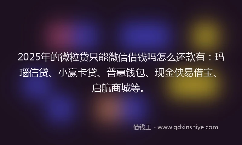 2025年的微粒贷只能微信借钱吗怎么还款有：玛瑙信贷、小赢卡贷、普惠钱包、现金侠易借宝、启航商城等。