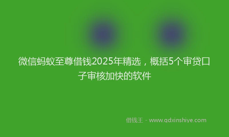 微信蚂蚁至尊借钱2025年精选，概括5个审贷口子审核加快的软件