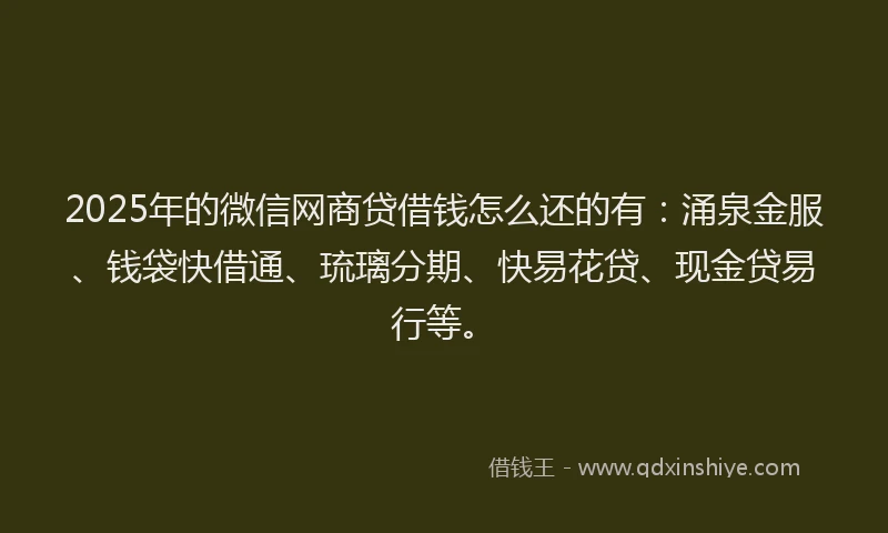 2025年的微信网商贷借钱怎么还的有：涌泉金服、钱袋快借通、琉璃分期、快易花贷、现金贷易行等。