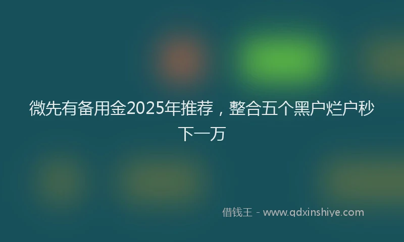 微先有备用金2025年推荐，整合五个黑户烂户秒下一万
