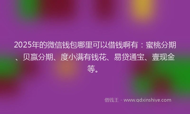 2025年的微信钱包哪里可以借钱啊有：蜜桃分期、贝赢分期、度小满有钱花、易贷通宝、壹现金等。