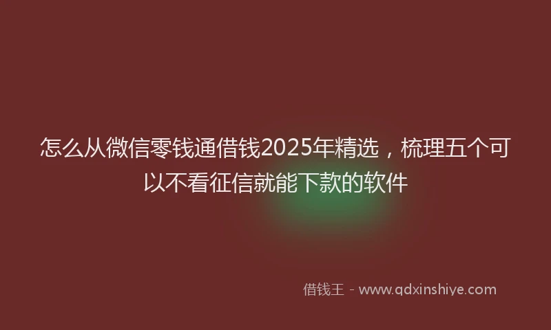 怎么从微信零钱通借钱2025年精选，梳理五个可以不看征信就能下款的软件
