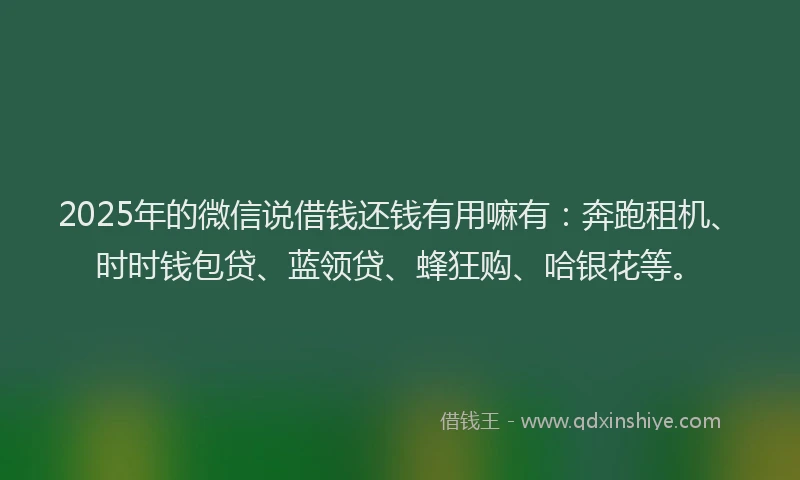 2025年的微信说借钱还钱有用嘛有：奔跑租机、时时钱包贷、蓝领贷、蜂狂购、哈银花等。