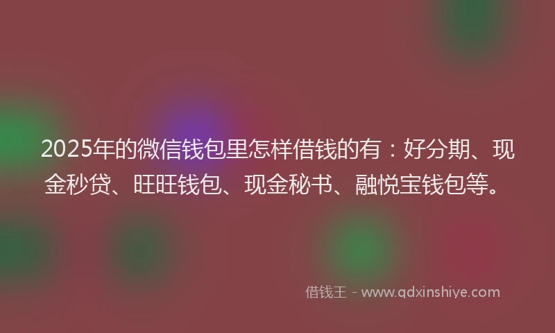 2025年的微信钱包里怎样借钱的有：好分期、现金秒贷、旺旺钱包、现金秘书、融悦宝钱包等。