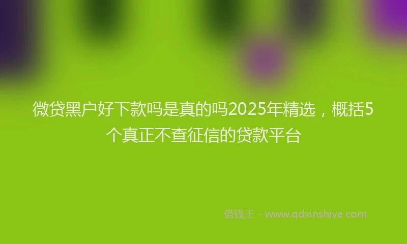 微贷黑户好下款吗是真的吗2025年精选，概括5个真正不查征信的贷款平台
