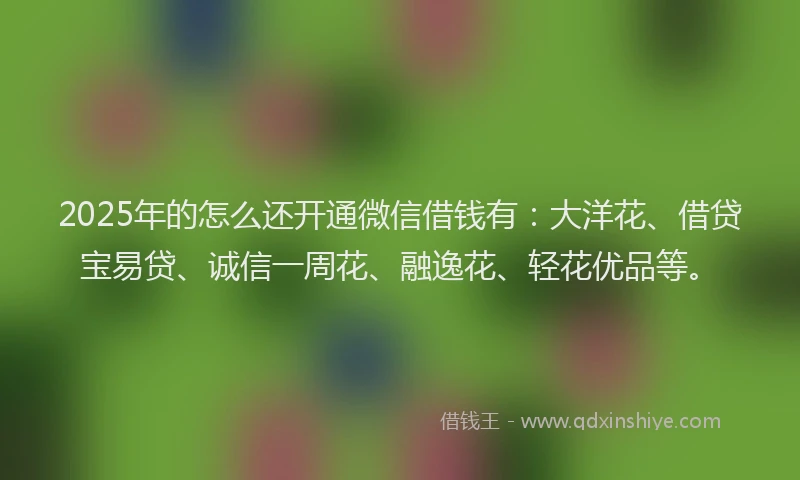 2025年的怎么还开通微信借钱有：大洋花、借贷宝易贷、诚信一周花、融逸花、轻花优品等。