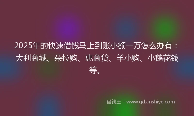 2025年的快速借钱马上到账小额一万怎么办有：大利商城、朵拉购、惠商贷、羊小购、小鹅花钱等。