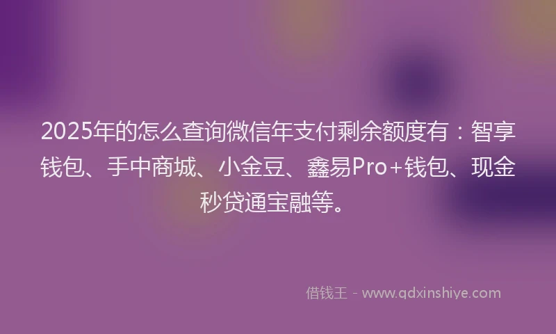 2025年的怎么查询微信年支付剩余额度有：智享钱包、手中商城、小金豆、鑫易Pro+钱包、现金秒贷通宝融等。