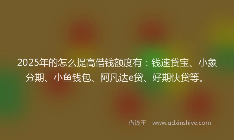 2025年的怎么提高借钱额度有：钱速贷宝、小象分期、小鱼钱包、阿凡达e贷、好期快贷等。