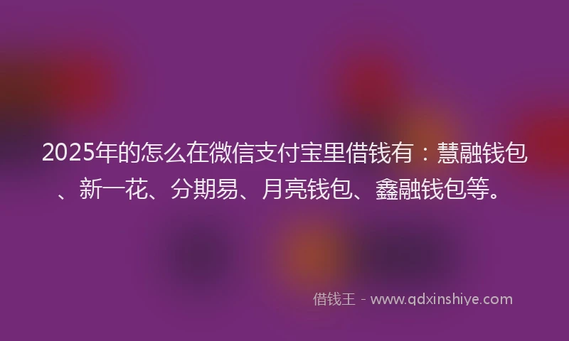 2025年的怎么在微信支付宝里借钱有：慧融钱包、新一花、分期易、月亮钱包、鑫融钱包等。