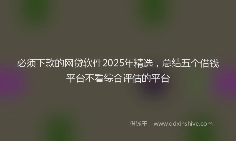 必须下款的网贷软件2025年精选，总结五个借钱平台不看综合评估的平台