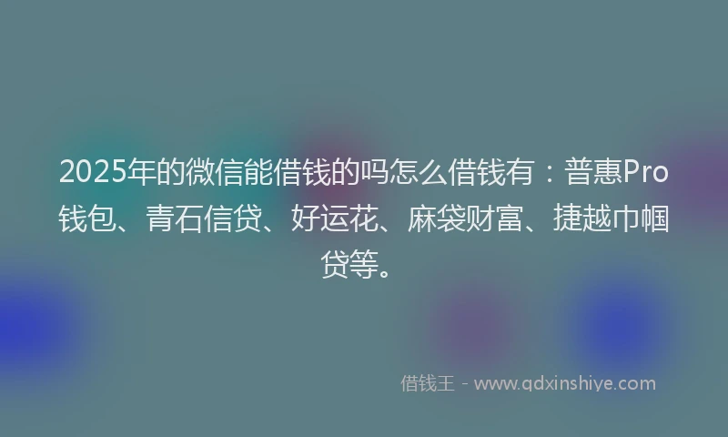 2025年的微信能借钱的吗怎么借钱有：普惠Pro钱包、青石信贷、好运花、麻袋财富、捷越巾帼贷等。