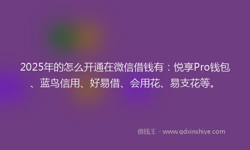 2025年的怎么开通在微信借钱有：悦享Pro钱包、蓝鸟信用、好易借、会用花、易支花等。