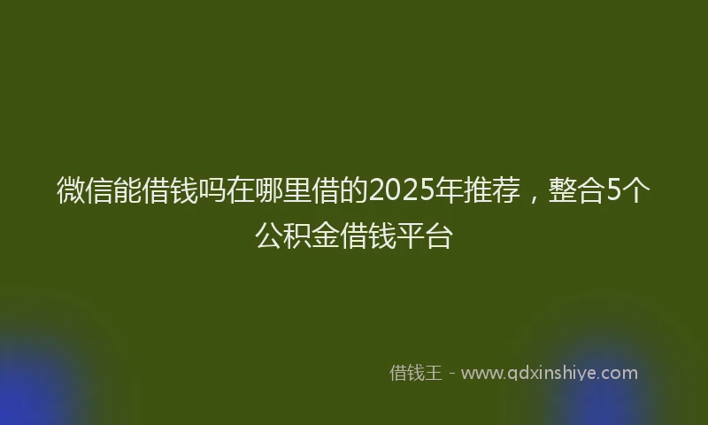 微信能借钱吗在哪里借的2025年推荐，整合5个公积金借钱平台
