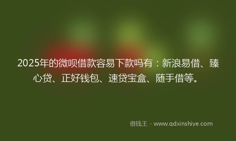 2025年的微呗借款容易下款吗有：新浪易借、臻心贷、正好钱包、速贷宝盒、随手借等。