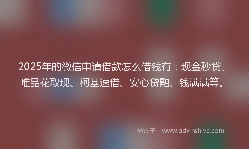 2025年的微信申请借款怎么借钱有：现金秒贷、唯品花取现、柯基速借、安心贷融、钱满满等。