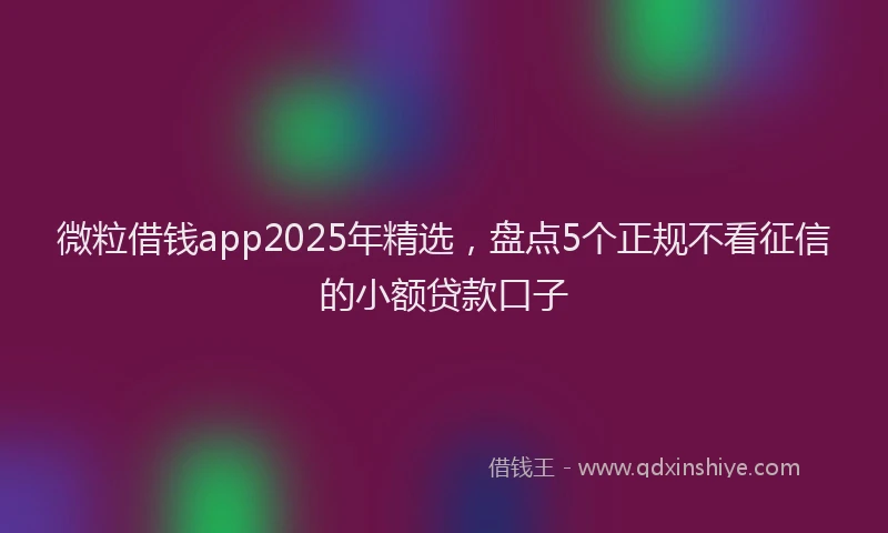 微粒借钱app2025年精选，盘点5个正规不看征信的小额贷款口子