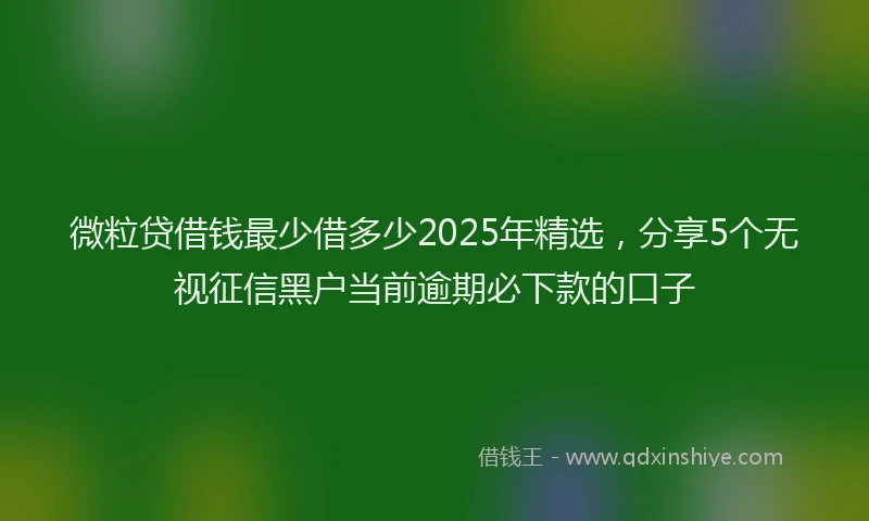 微粒贷借钱最少借多少2025年精选，分享5个无视征信黑户当前逾期必下款的口子
