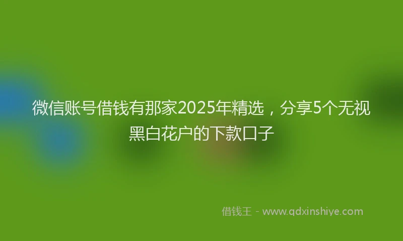 微信账号借钱有那家2025年精选，分享5个无视黑白花户的下款口子