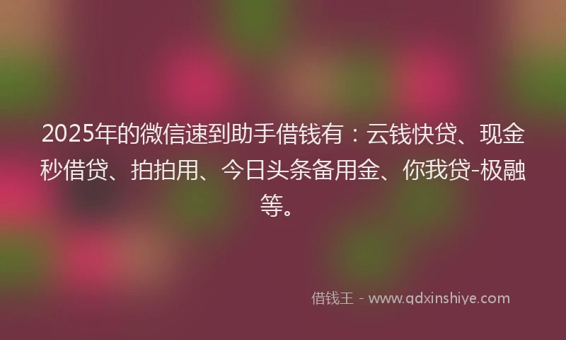 2025年的微信速到助手借钱有：云钱快贷、现金秒借贷、拍拍用、今日头条备用金、你我贷-极融等。
