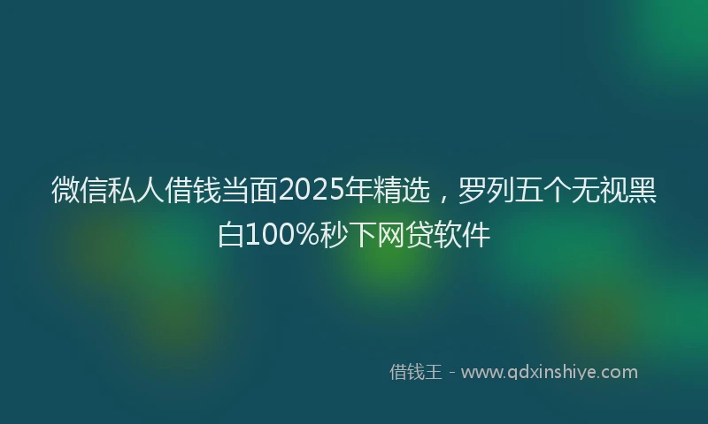 微信私人借钱当面2025年精选，罗列五个无视黑白100%秒下网贷软件