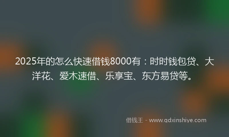 2025年的怎么快速借钱8000有：时时钱包贷、大洋花、爱木速借、乐享宝、东方易贷等。