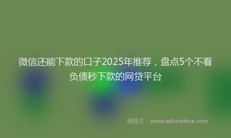 微信还能下款的口子2025年推荐，盘点5个不看负债秒下款的网贷平台
