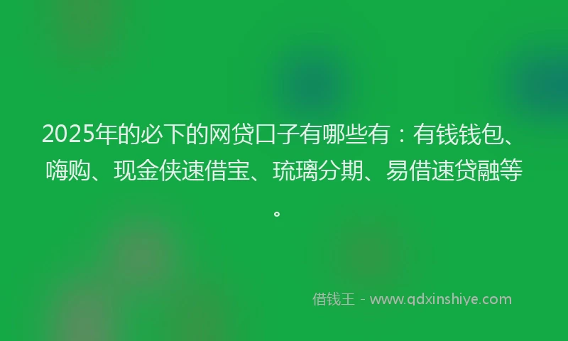 2025年的必下的网贷口子有哪些有：有钱钱包、嗨购、现金侠速借宝、琉璃分期、易借速贷融等。