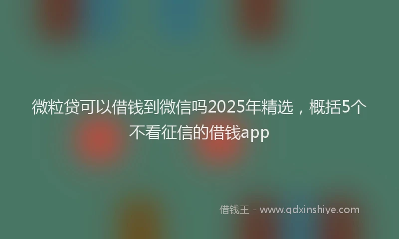 微粒贷可以借钱到微信吗2025年精选，概括5个不看征信的借钱app