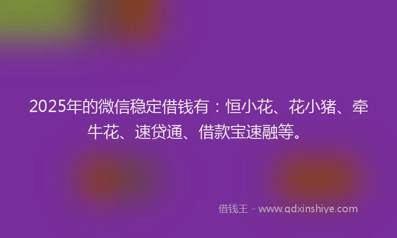 2025年的微信稳定借钱有：恒小花、花小猪、牵牛花、速贷通、借款宝速融等。